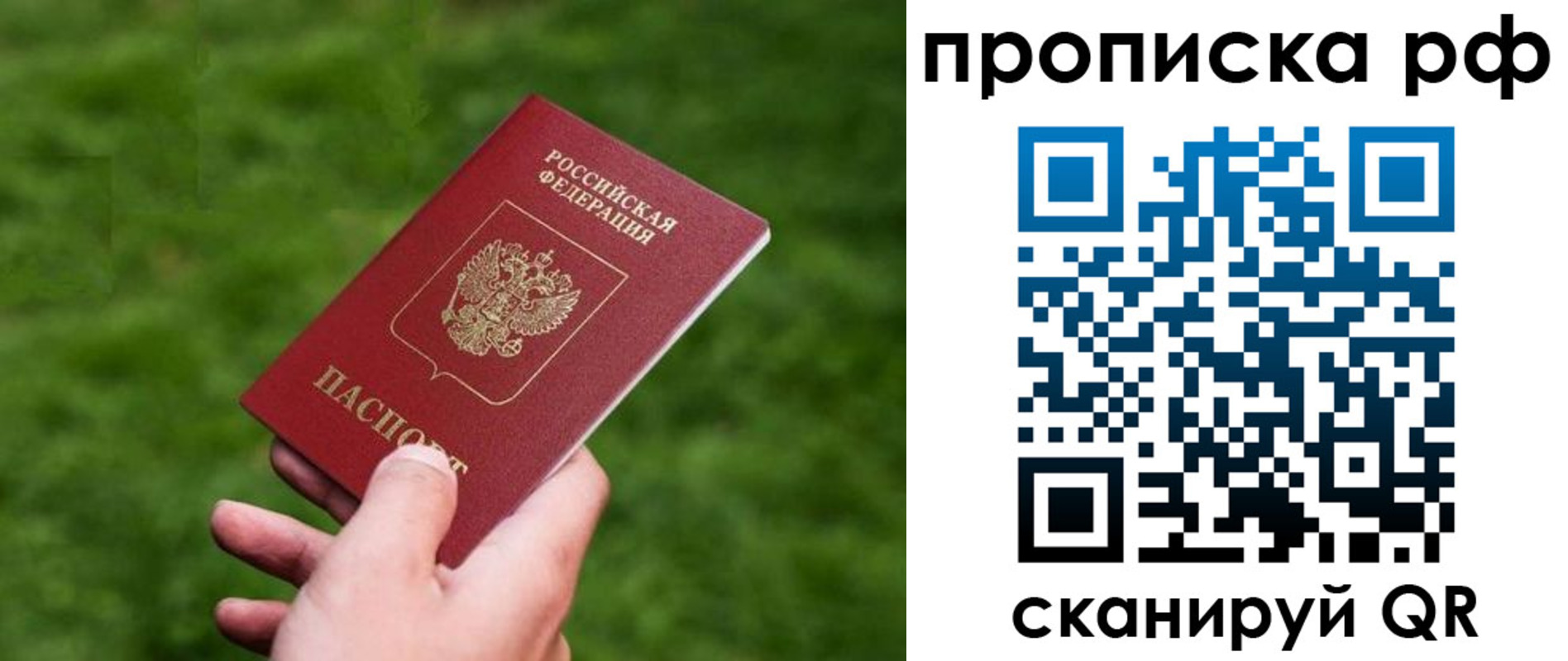 прописка поиск в Тайге